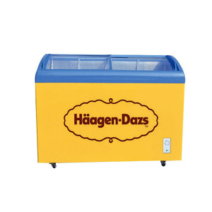 Congelador de Compresor para Exhibición Comercial de Helados - Product Image 4