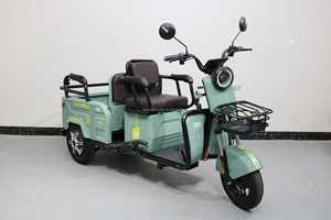 Acheter à bas prix 3 roues 2 sièges de la mobilité électrique Scooter tricycle pour adultes pour handicapés - Product Image 5