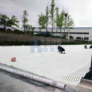 Géogrille minière en polyester, <span class=keywords><strong>grille</strong></span> de mine en polyester, géogrille minière pour la sécurité souterraine - Product Image 4