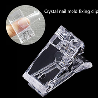 Clip de fixation de moule en cristal pour ongles, poudre acrylique, gel en poly pour ongles, décorations artistiques, vente en gros