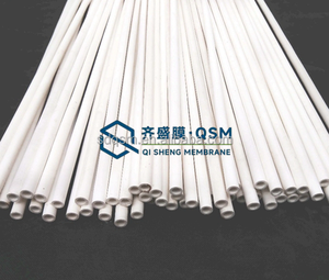 छिद्रों सिरेमिक इलेक्ट्रोलिसिस सेल डायाफ्राम झिल्ली - Product Image 4