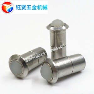 Stainless Steel Elastic Plunger D5 L11 Cylindrical Head <b>Polished</b> High Accuracy For <b>Plastic</b> Machinery Parts - Product Image 4