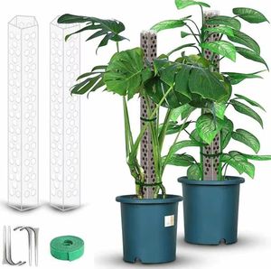 Nuevo Poste de soporte para plantas trepadoras apilable, enredaderas para plantas de interior, palos de musgo, poste de musgo de plástico duradero para macetas - Product Image 1