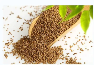 Herbal Supplement Male Strong Powder <strong>Dodder</strong> Seed <strong>Extract</strong> - Product Image 3
