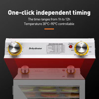 Lyophilisateur domestique Lyophilisateur Prix compétitif Équipement de lyophilisation sous vide pour fruits et légumes tropicaux