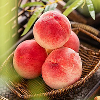 Hoogwaardig gevriesdroogd perzikpoeder – volledig natuurlijk fruitpoeder zonder toevoegingen of kunstmatige kleurstoffen