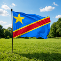 Drapeau de la République du Congo 3x5 en polyester personnalisé pour campagne électorale et publicité pour les élections générales