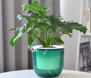 Lot de 2 pots suspendus auto-arrosants en plastique PP de 6,5 pouces pour plantes d'intérieur/extérieur avec trous de drainage et niveau d'eau visible pour la maison - Product Image 3