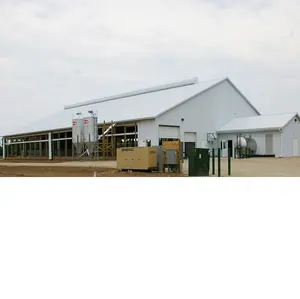 Construção moderna de metal grande para galinha, casa de aves, fazenda e vacas, estrutura de aço resistente a chuva, design moderno