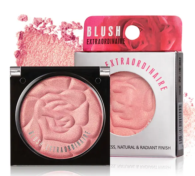 10 Farben Makeup Blush Mini Matte Pearl Natürliche Abdeckung Wange