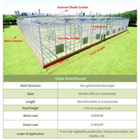 Serre agricole tunnel de 7,5 m de haute qualité, à faible coût, avec verre trempé et structure en acier galvanisé à chaud