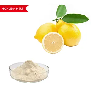 HONGDA Factory Supply polvere solubile in acqua al gusto di limone succo di limone in polvere polvere di limone