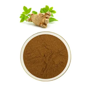 Hochwertiger Panax Noto ginseng Wurzel extrakt/Radix Noto ginseng P.E.