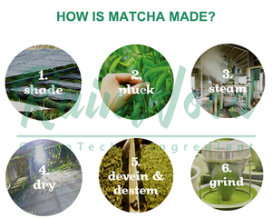 Matcha en Polvo Rainwood, Matcha de Grado Ceremonial, Matcha en Polvo Ceremonial, Matcha en Polvo de Grado Ceremonial de Japón - Product Image 5