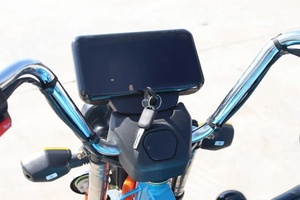 รถสามล้อจีนราคาถูก 1.3 เมตร 650 วัตต์ สำหรับไนจีเรีย - Product Image 5