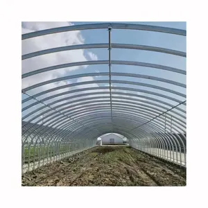 FM galvanizado Steel Frame Single Span PE Film Estufa para Agricultura Baixo custo Túnel Estufa para Flores Planta