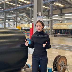 Convoyeur à bande latérale à grand angle robuste pour le transport de matériaux en vrac - Product Image 6