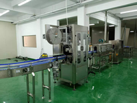 Ligne de production complète et automatique pour l'embouteillage d'eau minérale en petites bouteilles, machine de remplissage d'eau pure avec moteur