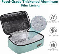 Petite boîte à lunch thermique isolée pour adultes, hommes et femmes, sac isotherme, seau à lunch pour adultes, récipient alimentaire