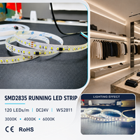 Bande LED adressable WS2811 SMD2835 DC24V à éclairage dynamique séquentiel 120 LED/m, CRI élevé pour l'éclairage des étagères de magasin et des vitrines