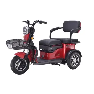 Seat Adults tricycles Ckd High Quality electric tricycle 2021 Best SALE e Mobility Cheaper Chinese Supplier 3 wheels