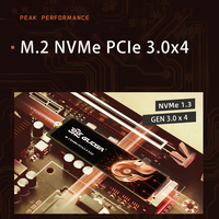 SSD Internal GUDGA NVMe PCIe3.0 M.2 2TB 3500MB/s Plastik
