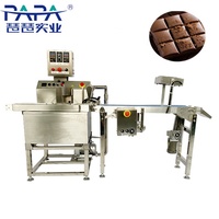 PAPA Volledig Automatische 304 RVS Chocolade Enrober Machine Transportband Koelventilator 15kg/u Nieuwe Noten Fruit Groenten Mais