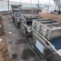 Machine à semoir pour plateau de légumes Machine à semer automatique pour plateau de graines de tabac Planteur pour plateau de graines de cannabis Semoirs pour plateau automatique