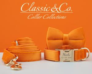 ชุดสายจูงกำมะหยี่แบบแข็งพร้อมโบว์สีส้ม ปลอกคอสุนัขปรับได้ สลักชื่อสัตว์เลี้ยง พร้อมหัวเข็มขัดโลหะ ชุดสายจูงสำหรับลูกสุนัข - Product Image 3