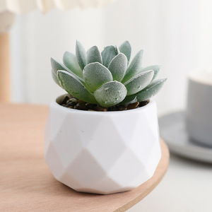 Mini Plante Succulente Artificielle Décoration de Maison Utilisée pour Décoration de Bureau Plante Artificielle Verte Décoration Succulente - Product Image 5