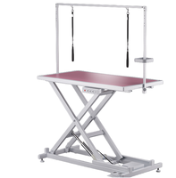 Table de toilettage électrique de luxe personnalisée, réglable en hauteur, en métal, pour chiens et chats, avec fonction sèche-cheveux