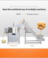 Industriële aardappel schilmachine SUS304 schuur trommelschiller voor aardappel, zoete aardappel, taro en wortelgroenteverwerking