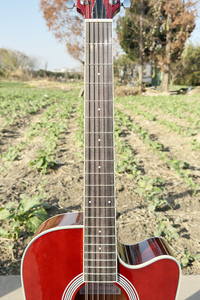 <span class=keywords><strong>Chitarra</strong></span> Elettroacustica a 12 Corde di Alta Qualità, Finitura Lucida, Colore Rosso Vino, con Pickup 7545, Marca Aiersi - Product Image 6