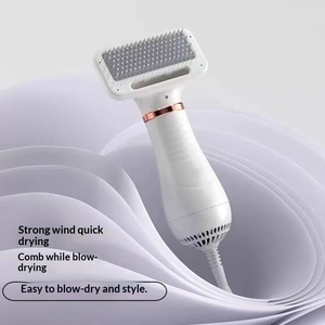 Wholesale Electric Eco-Friendly 2-in-1 Pet Grooming Brush & Hair Dryer with Adjustable Temperature for Dogs and Cats