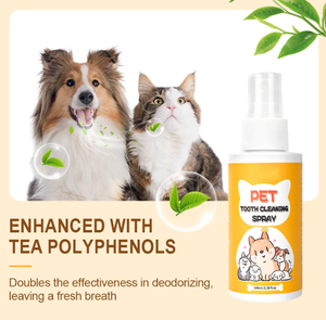 Evcil hayvanlar için PetFit OEM ODM diş spreyi ev evcil hayvan diş bakımı sağlık evcil hayvan diş bakımı ürün kediler ve köpekler için - Product Image 3