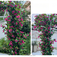 ZZLTY Guirlandes artificielles 3D de bougainvilliers, fausses guirlandes florales pour aménagement de murs fleuris