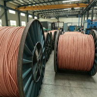 Kabel Tembaga Fleksibel BVR Berisolasi PVC 1.5-10mm 450/750V Industri 100m untuk Penerangan Listrik Bangunan Dalam Ruangan