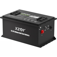 Baterai Lithium LiFePO4 48V 105Ah untuk Mobil Golf, Grosir Pabrik, 6000+ Siklus, Mobil Golf Listrik 8 Kursi, Baterai LiFePO4