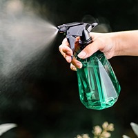 Bouteille pulvérisatrice de 500 ml, pulvérisateur pour plantes, fleurs et herbes, arrosoir de jardin, pot d'arrosage pour jardin, fournitures de nettoyage intérieur