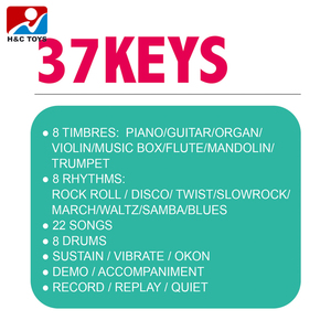 Trẻ Em Điện Tử Âm Nhạc Bàn Phím Đồ Chơi 37 Phím Điện Đàn Piano Với Microphone - Product Image 5