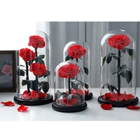 Rose éternelle sous cloche en verre avec LED, fleur naturelle préservée longue durée, tige de rose véritable