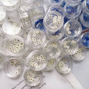 Prensado seco azul blanco Myosotis Sylvatica Forget Me Not flor planta herbario <span class=keywords><strong>para</strong></span> joyería teléfono caso marco DIY fabricación - Product Image 6