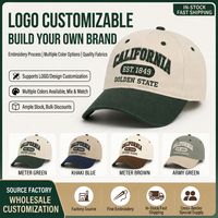 Gorra de Béisbol OEM al por Mayor Personalizada Vintage con Bordado 3D en Relieve, Letras en Contraste, Visera de Bloques de Color, 6 Paneles, Algodón, Ajustable, Estilo Dad Hat