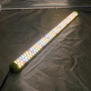 Tube lumineux LED à spectre complet UV IR, lumière rouge lointaine, pour plantes <span class=keywords><strong>d</strong></span>'intérieur, serres, horticulture, hydroponie - Product Image 5