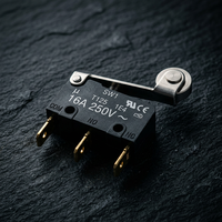 KW7-9 125/250/380V AC sécurité mécanique limitée Micro interrupteurs convoyeur à bande interrupteur de fin de course