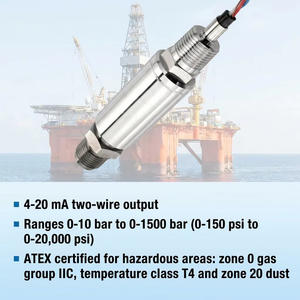 Transductor para Áreas Peligrosas con Certificación ATEX IECEx para Petróleo, Gas y Minería - Product Image 4