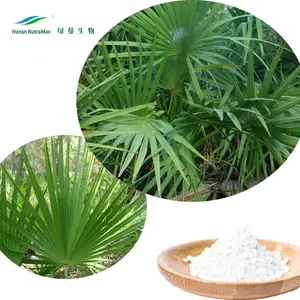 ISO/BRC/Halal/Kosher Certified Saw Palmetto Extract with Free Sample