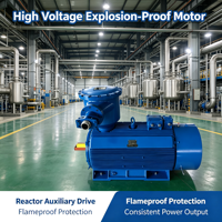 Motor Anti Ledakan Kelas F Isolasi Tahan Suhu Rendah Zona Satu Area Motor Anti Ledakan 132KW 55KW