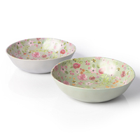 Ensemble de bols à ramen personnalisés en mélamine avec décalcomanie intérieure et extérieure en couleur pour le dîner ou la salade