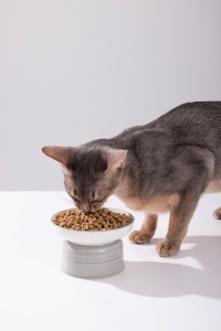 Lovidovi Aliment pour chats en vrac OEM, croquettes nutritives saveur poulet, sans céréales, formule cuite, réduit les allergènes Fel D1 D2 D4 D7, sac - Product Image 6
